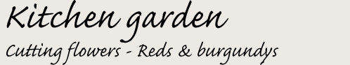 Reds & burgundys