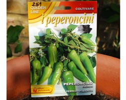 chilli