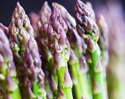 asparagus Gijnlim crowns
