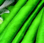 broad bean