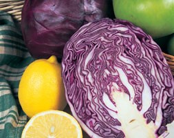 cabbage