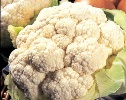 cauliflower