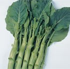 Chinese broccoli ( Kai Ian)