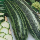 marrow