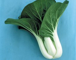 pak choi