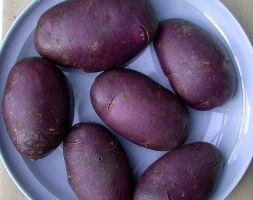 potato - early maincrop