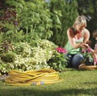 Hozelock maxi plus hose