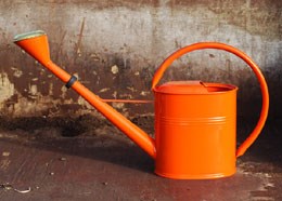 Funky orange watering can