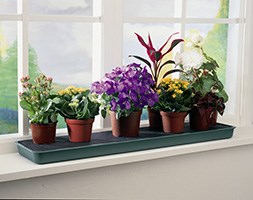 Self watering windowsill plant tray