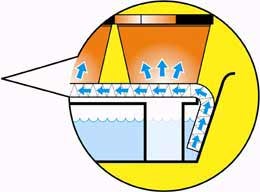 Self watering tray