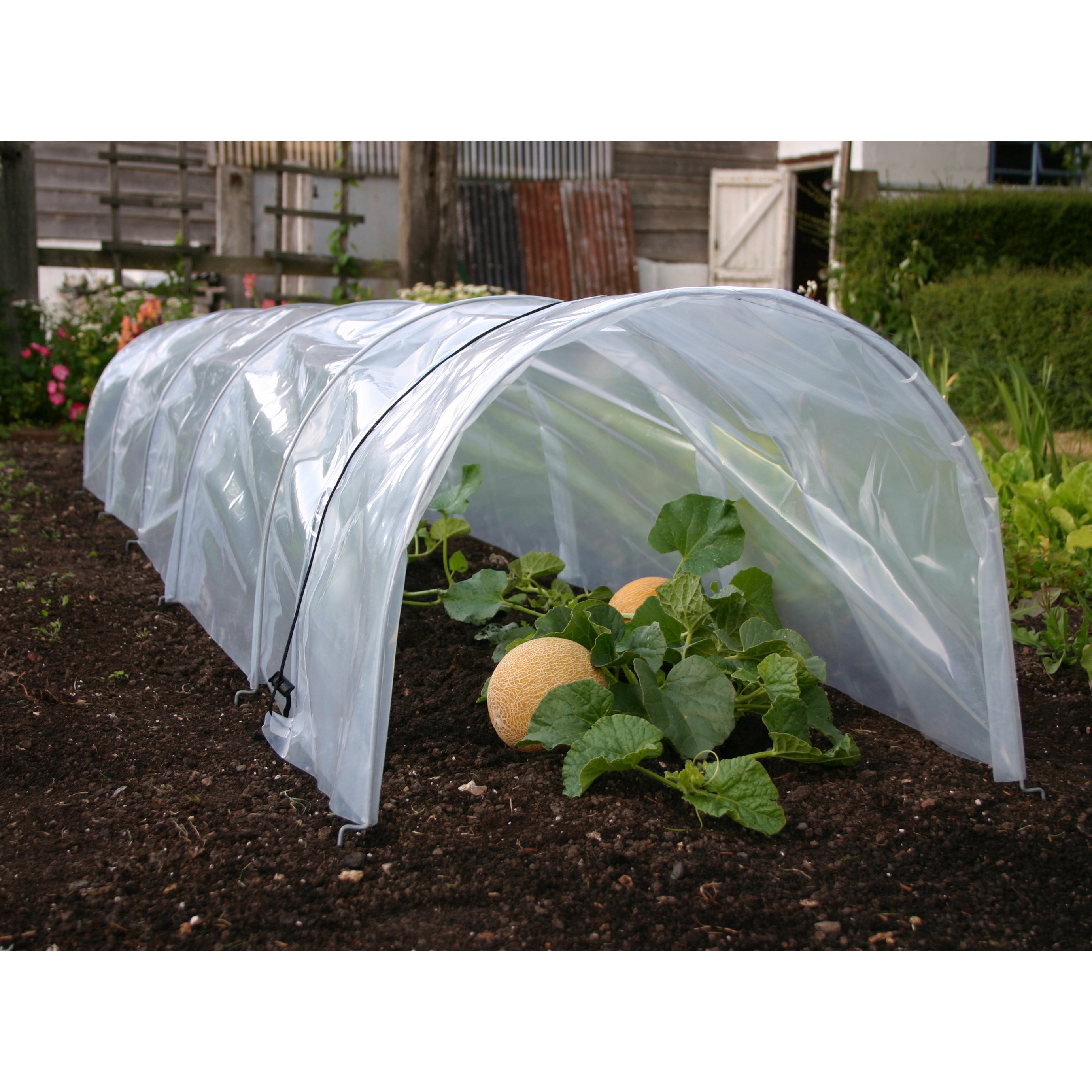  Giant easy polytunnel cloche