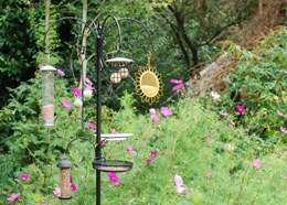 Deluxe bird feeding station kit
