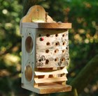 Lacewing chamber