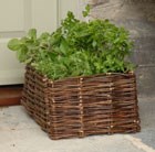 Herb planting bag with natural willow surround