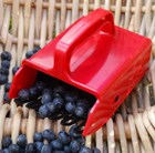 Berry picker