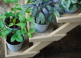 3 Tier plant stand etagère