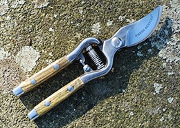 Traditional bypass secateurs 8