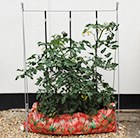 The grow-bag frame