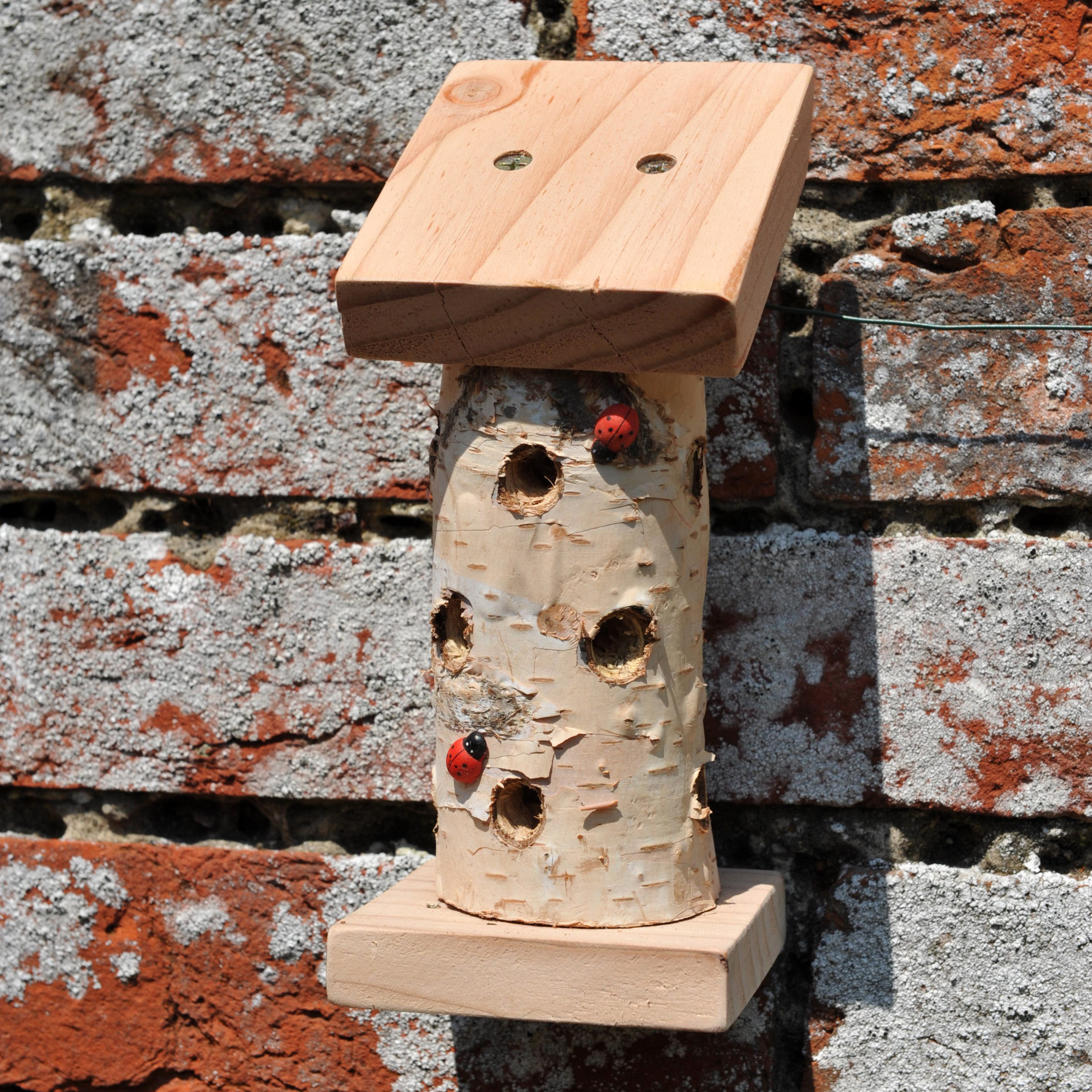 Mini ladybird tower