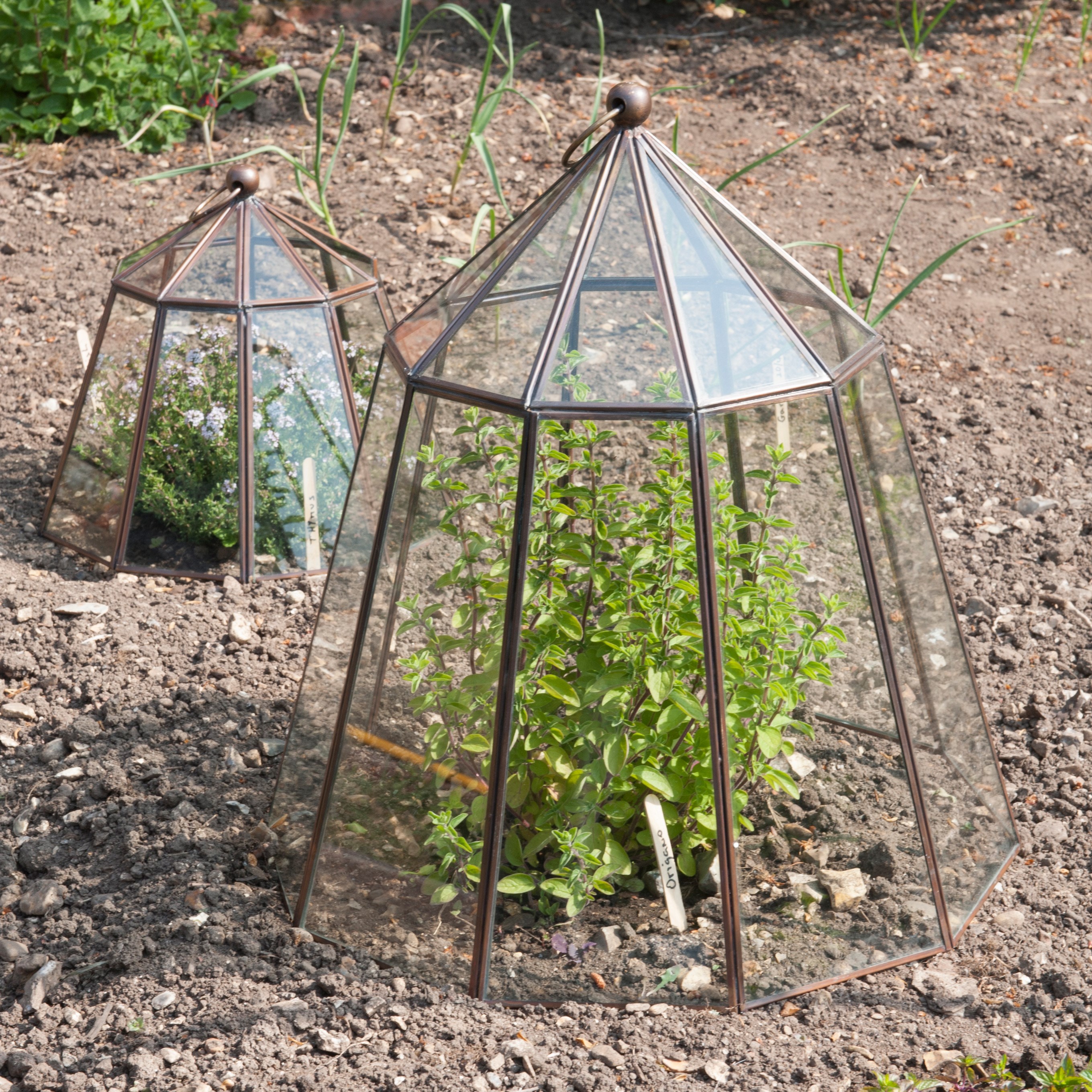 Bronze lantern cloche