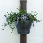 Drain pipe flower pot